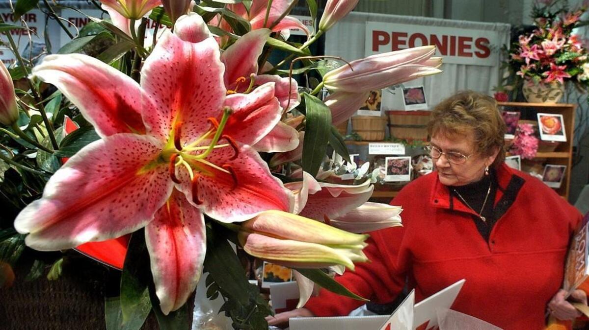 The Tacoma Home and Garden Show opens Wednesday and continues through the weekend.