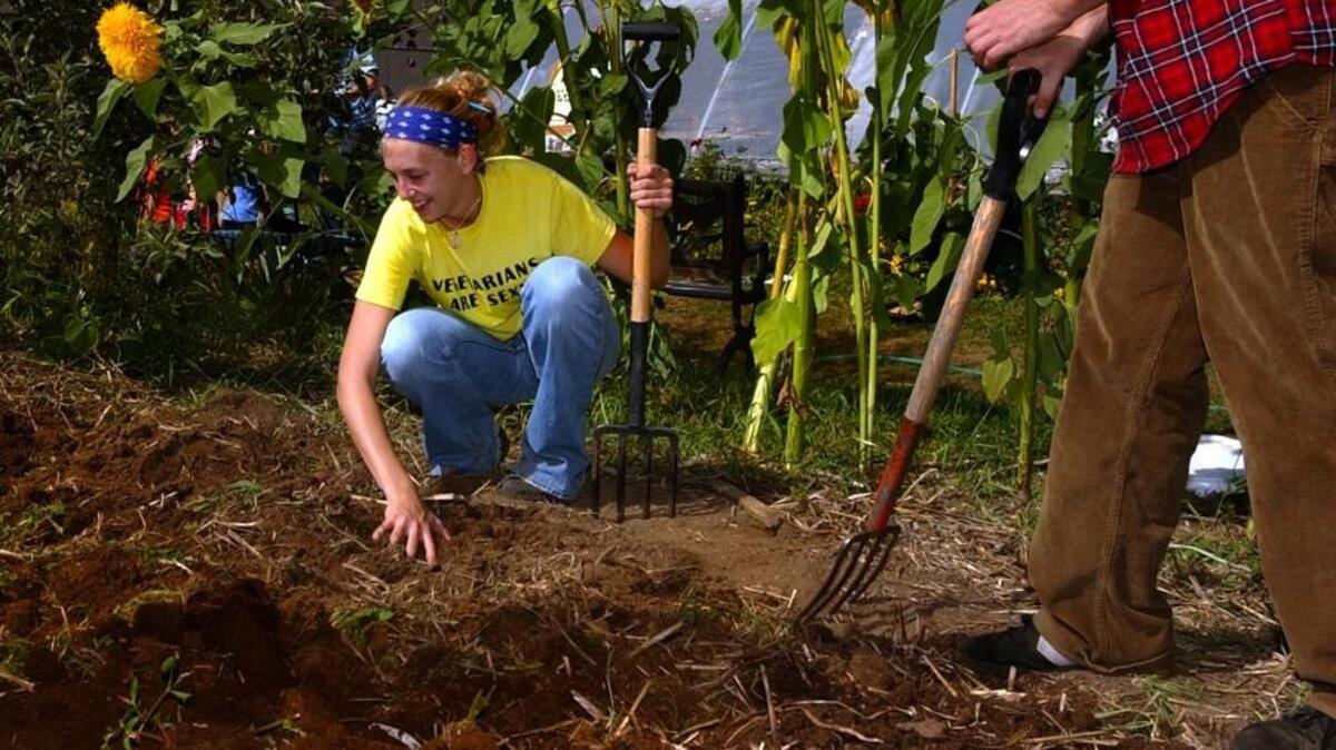 
Learn about preparing your garden for winter at workshops this week.
