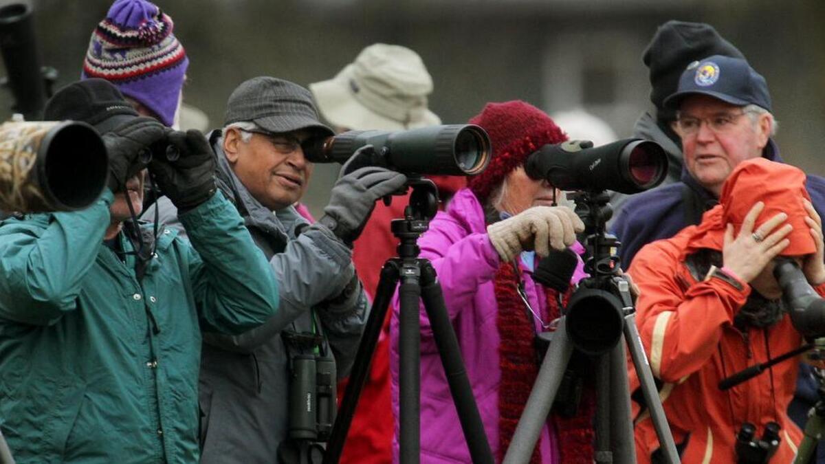 
Discover the birds that call Adriana Hess Wetlands home on a guided bird walk.
