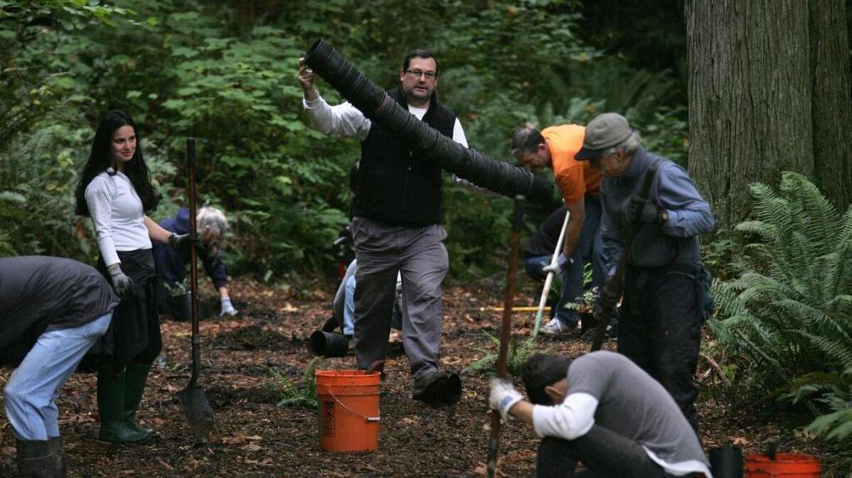 
Volunteer to help at Tacoma Nature Center park stewardship activities
