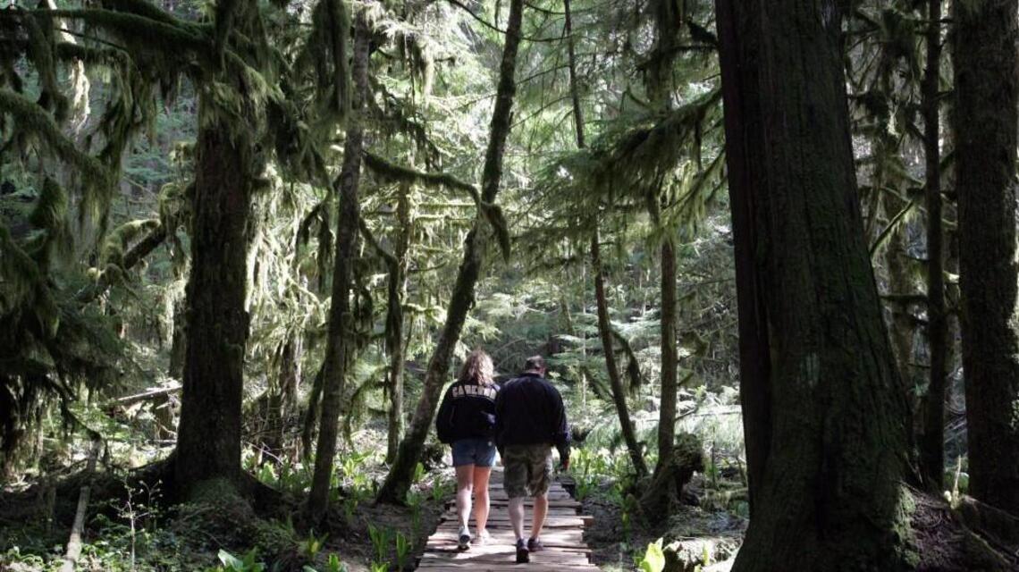 Seattle and Tacoma are neighbors, but one area is much healthier than the other