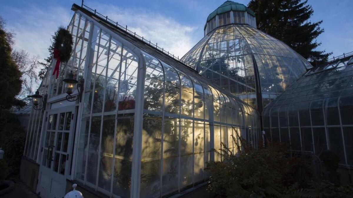 Enjoy the sounds of the Second Sunday Music Series at the W. W. Seymour Conservatory.