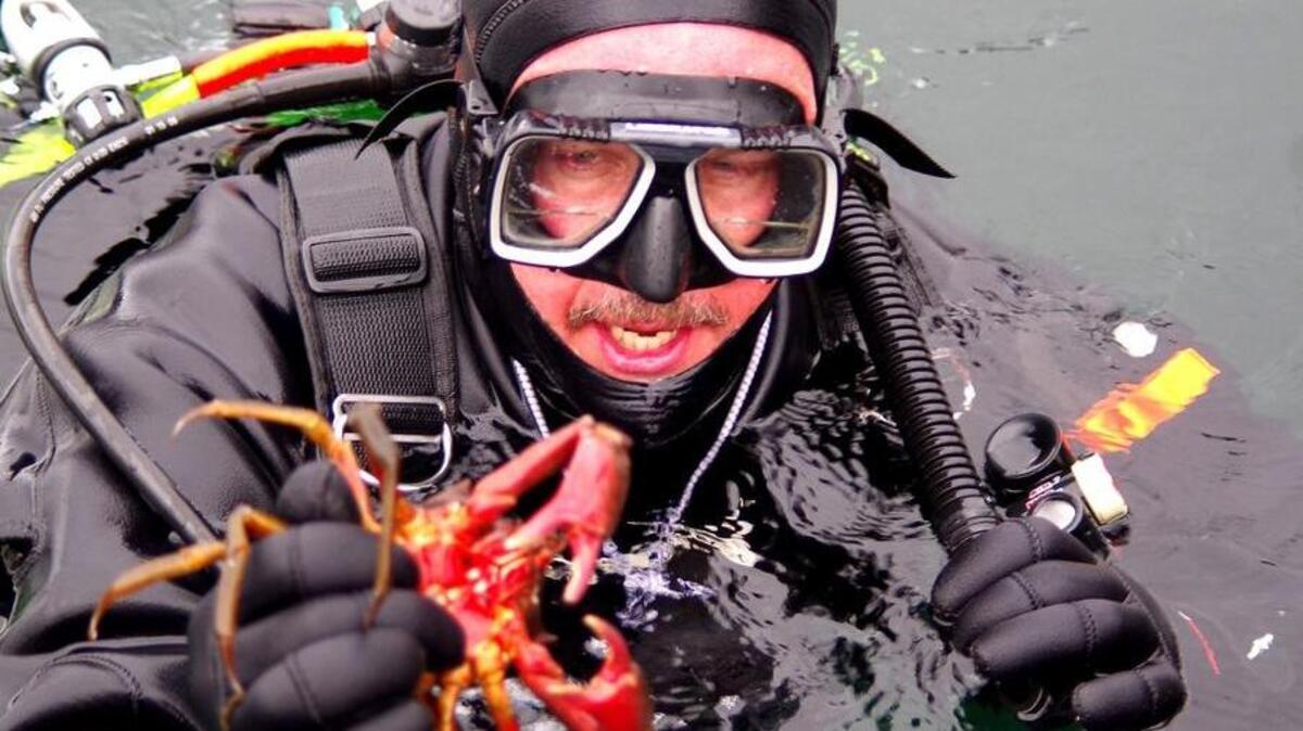 Scuba instructor Tom Larson brings up a marine animal for Harbor Wildwatch's touch tanks as part of the "Pier into the Night" program.