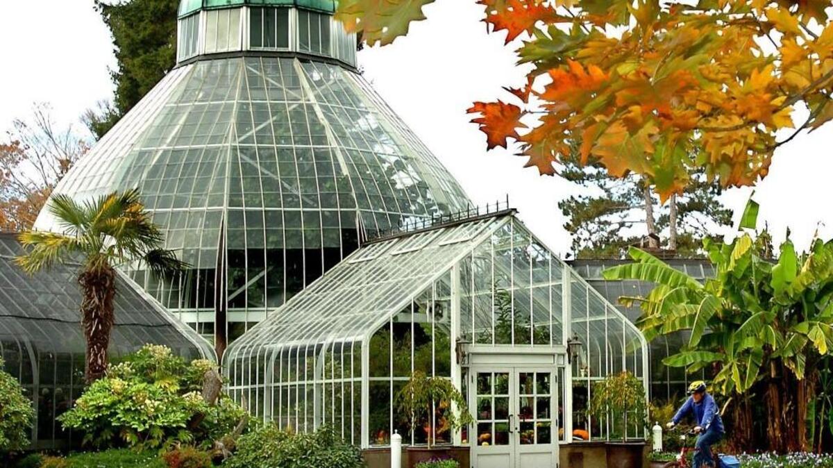 Enjoy the winter grand floral display at W.W. Seymour Botanical Conservatory in Wright Park.
