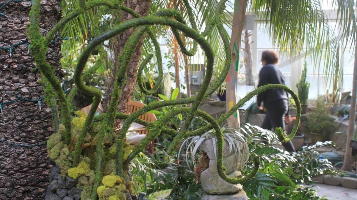 Don High, “Breaking Through,” in “Evolution” at the Seymour Conservatory, Tacoma.