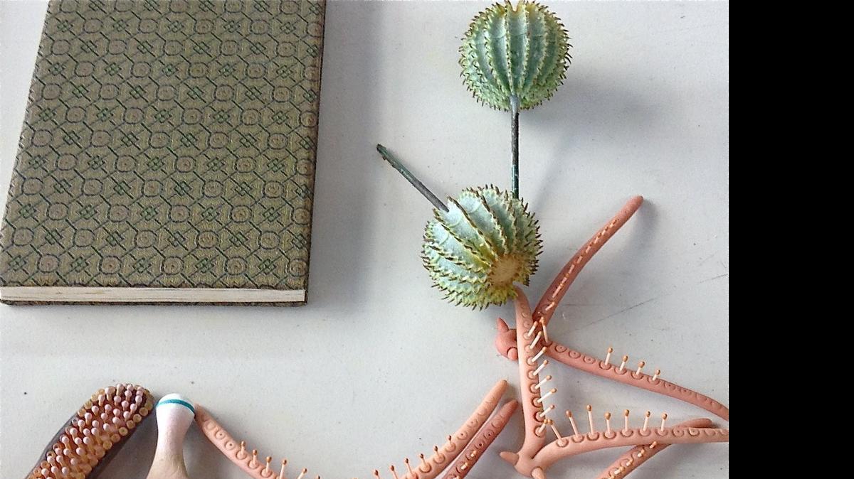 
Renee Adams’ marine-inspired sculpture is part of “Wunderkammer” at the Foss Waterway Seaport.

