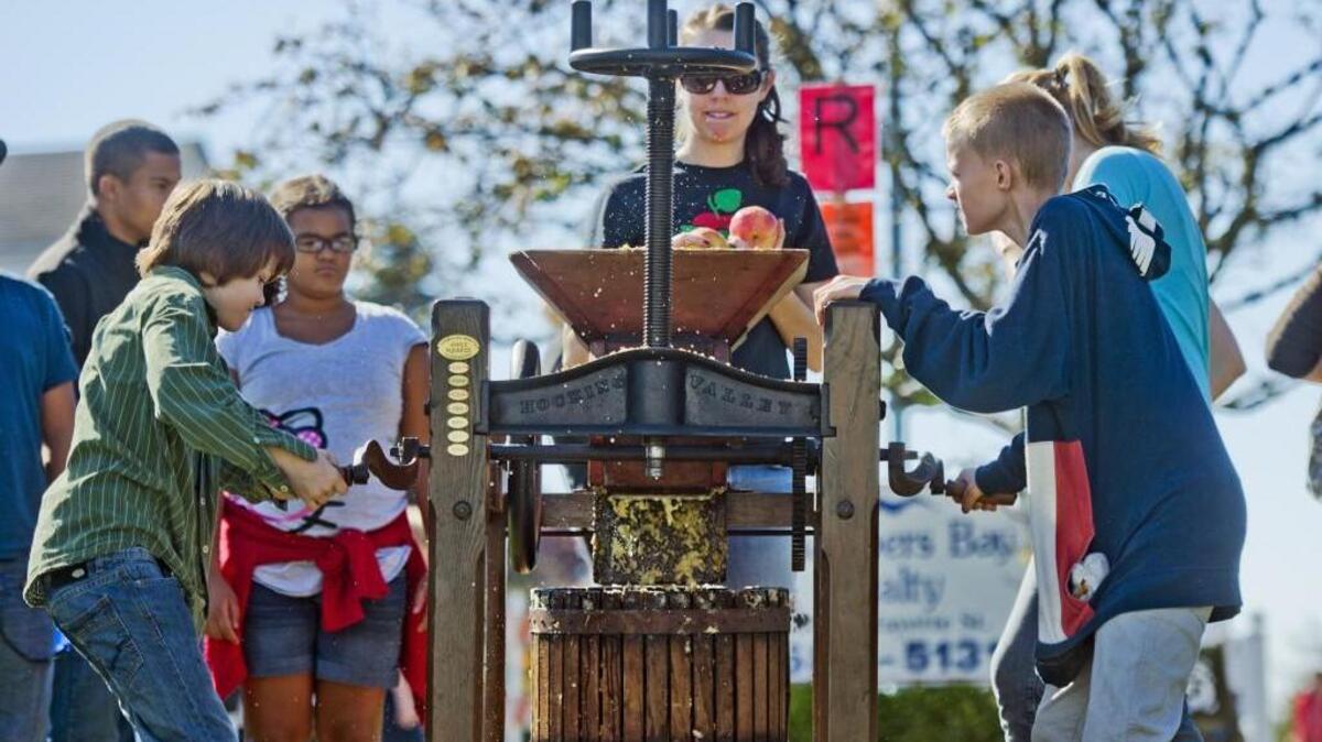 
Join in the fun of the old-fashioned Apple Squeeze in Steilacoom
