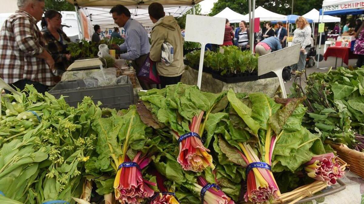 Check out the Tacoma Farmers Market in downtown on Thursday.