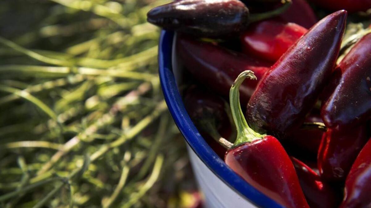 
 Check out the local produce and other products at local farmers markets this week.
