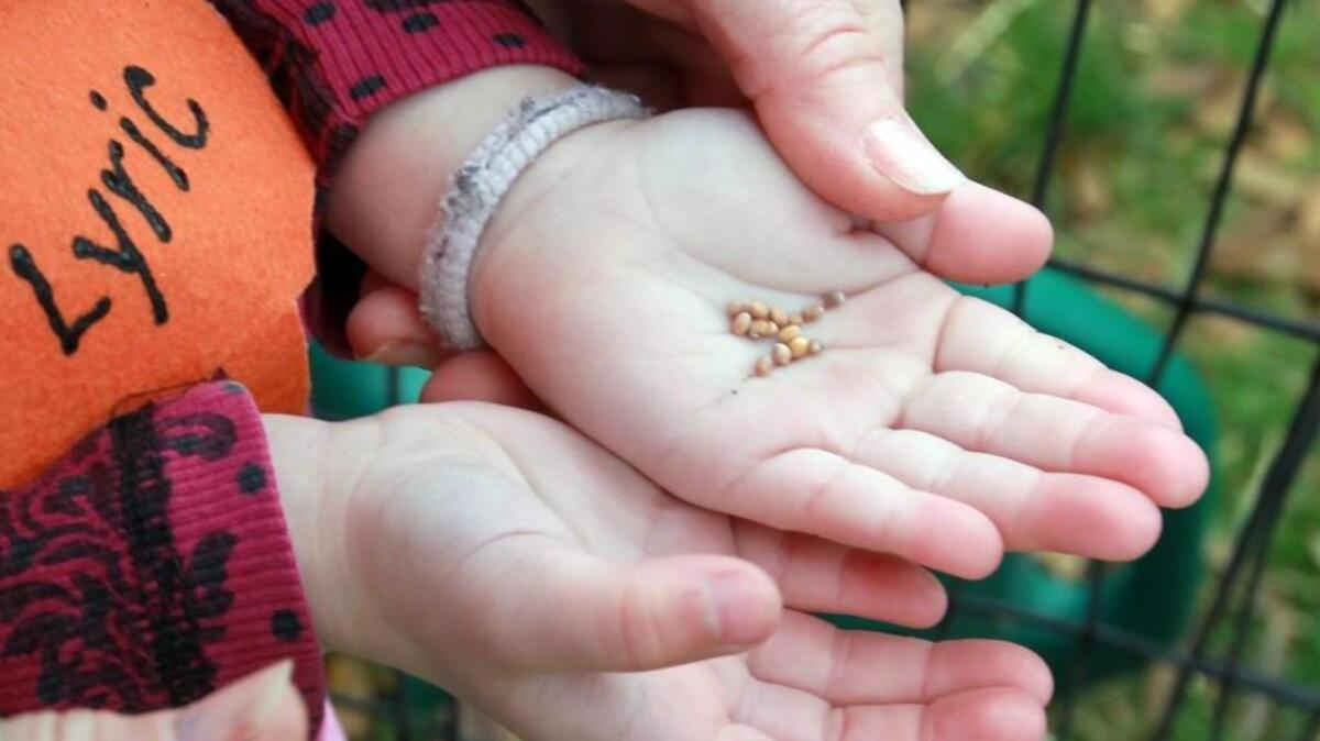 
 Learn about seeds at Native Plant Society talk.
