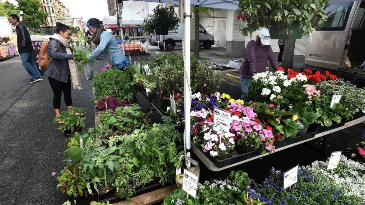 Olivia Taylor, left, gets a hand from Kat Haller of L’Arche Farm & Gardens to bag a brandywine tomato plant. The Broadway Farmers Market in downtown Tacoma is now open on Thursdays.