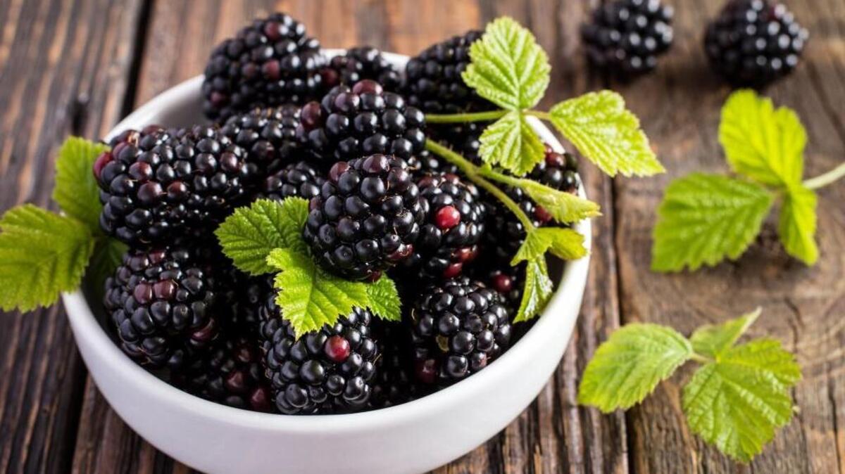 Blackberries are considered a super food - get your fill at the Bremerton Blackberry Festival Sunday-Monday.