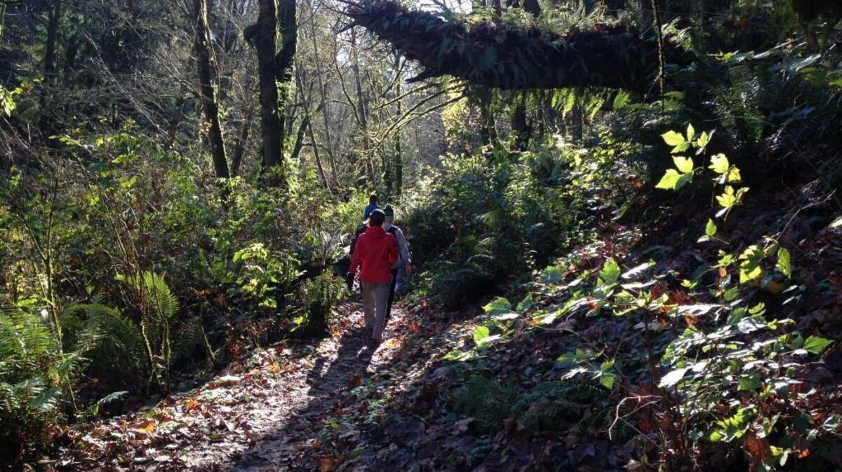 “Art, Edibles & Sustainable Culture” will be at Metro Parks Tacoma’s Swan Creek Trail.