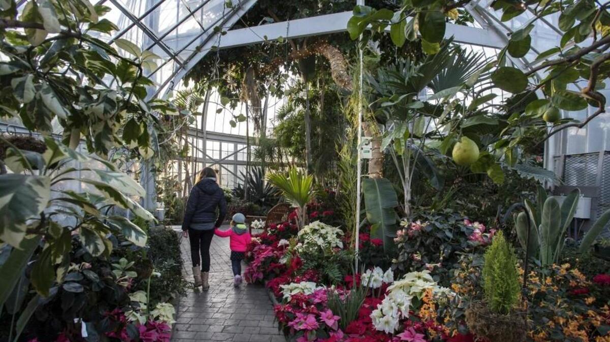 Enjoy the Second Sunday Music Series at the W.W. Seymour Conservatory in Wright’s Park.