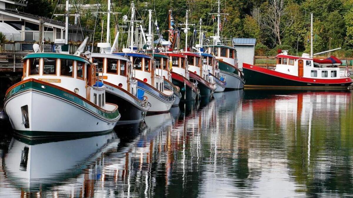 
A row of newer-series tugs rest berthed at Percival Landing Sunday during the annual 2014 Olympia Harbor Days celebration.

