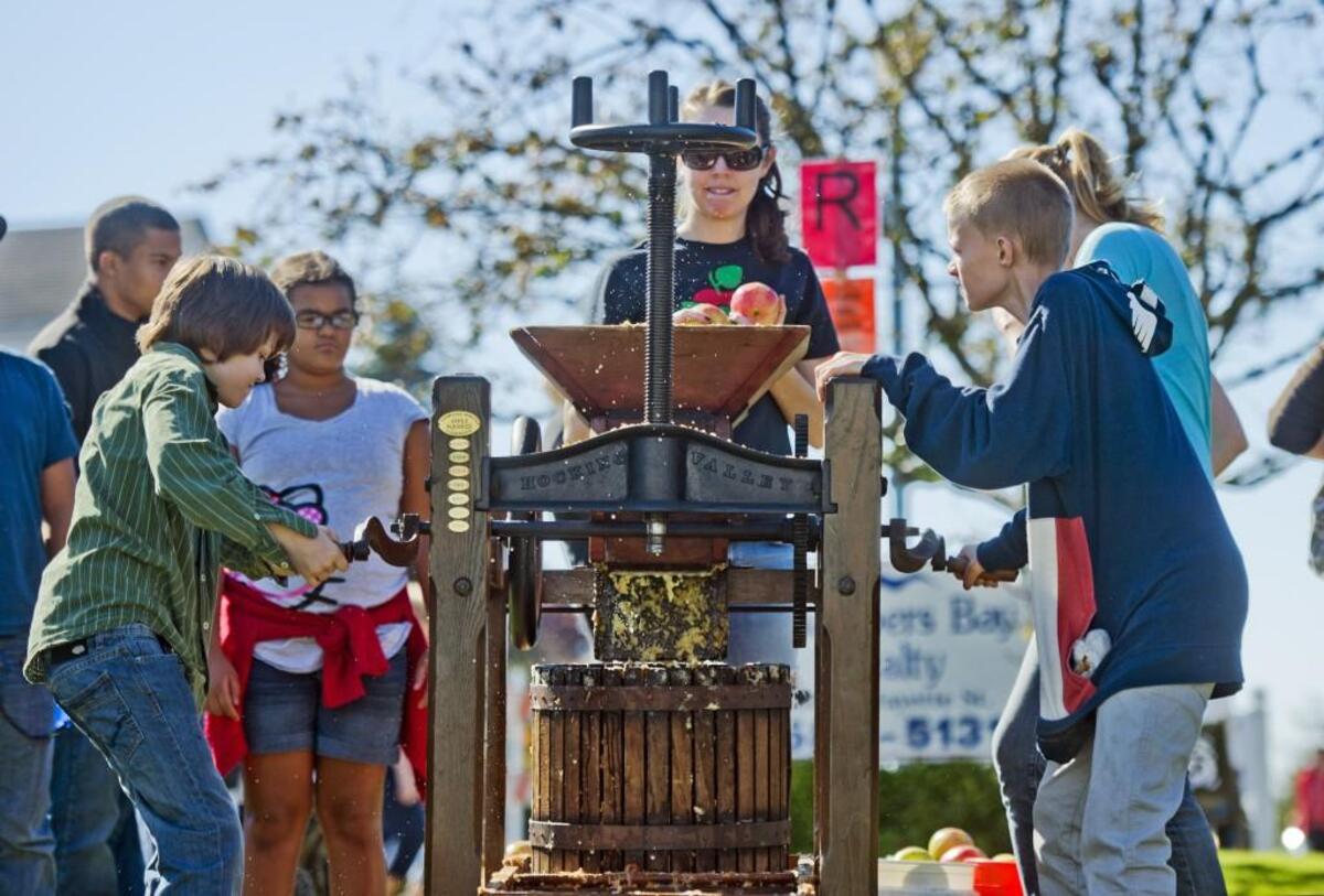 Nine-year-old Dilan Hale of JBLM (left) and his twelve-year-old brother Ethan double-team the cranks at the annual Steilacoom Apple Squeeze, October 6, 2013.