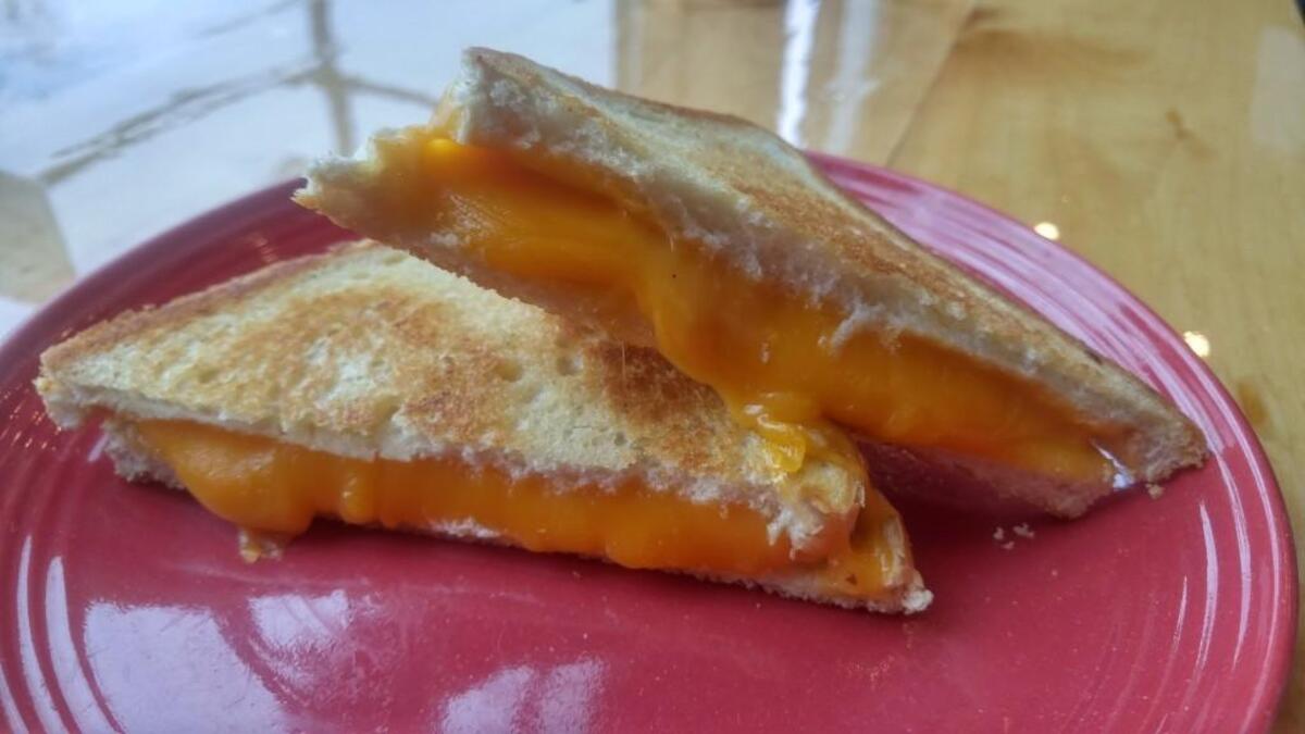 A grilled cheese sandwich from Red Elm Cafe.