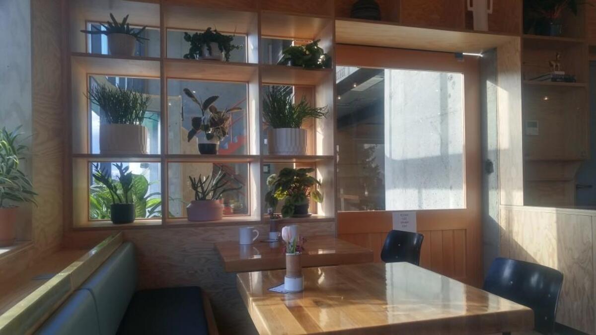 The dining room of Honey Coffee + Kitchen in Tacoma.