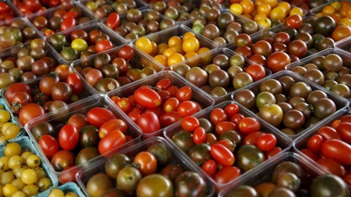 Pictured here are miniature tomatoes. Find produce such as tomatoes at the new Point Ruston Farmers Market that beings Aug. 6.