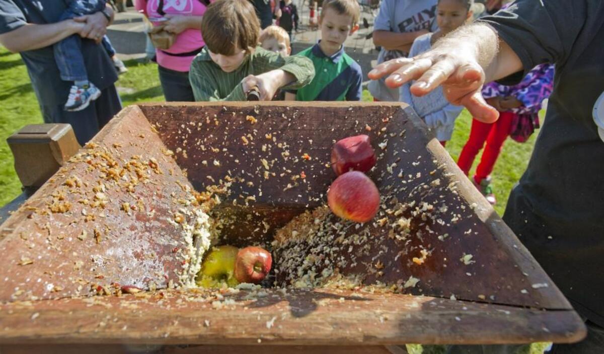 Nine-year-old Dilan Hale of JBLM cranks as his machine chews more apples at the annual Steilacoom Apple Squeeze, October 6, 2013.