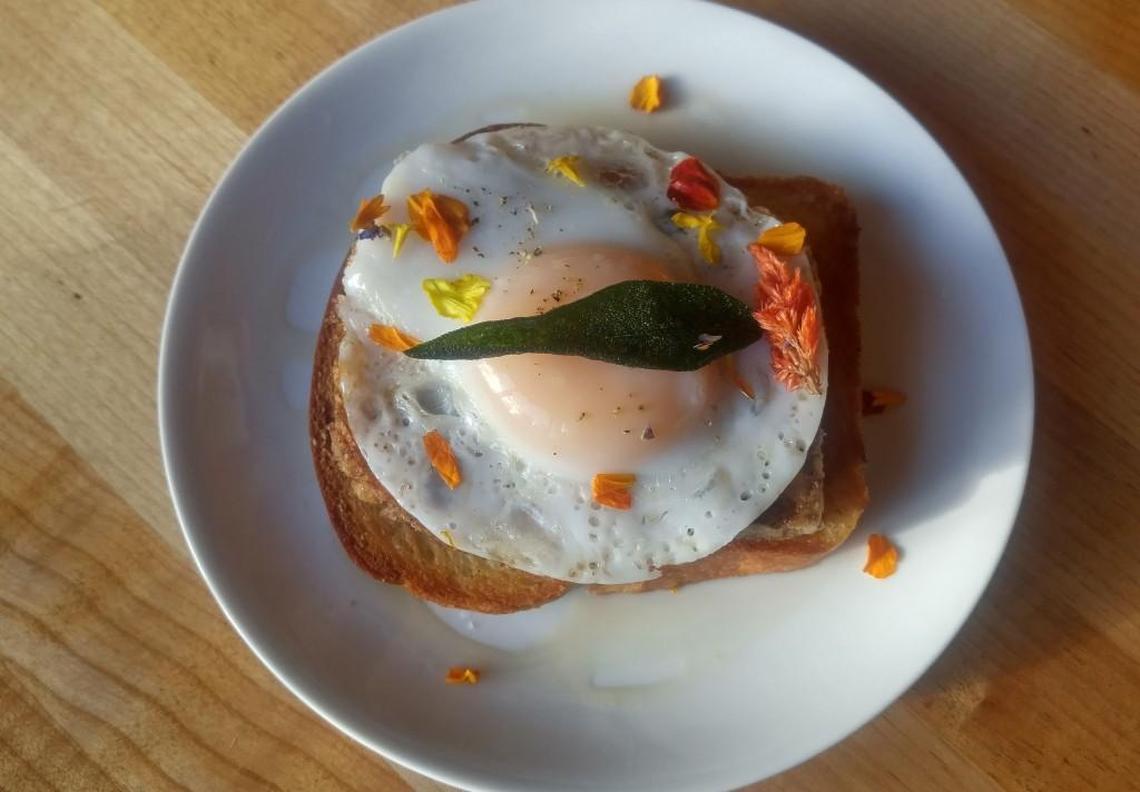 Pig head scrapple on brioche with a fried duck egg from Honey Coffee + Kitchen in Tacoma.