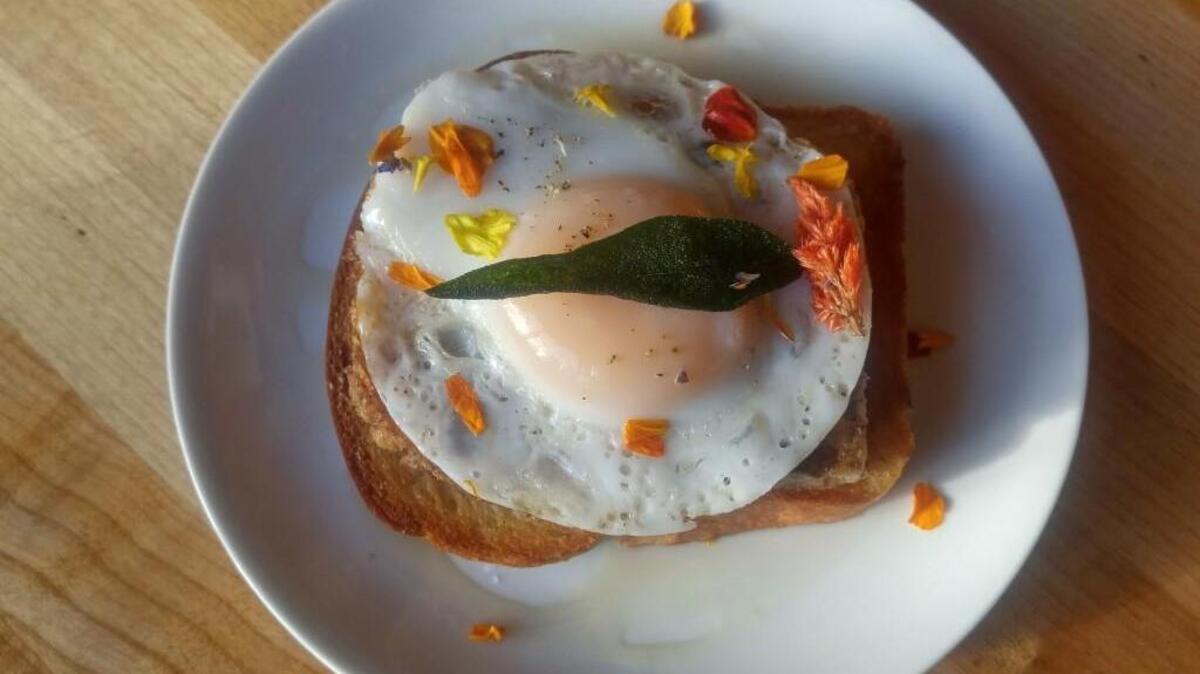 Pig head scrapple on brioche with a fried duck egg from Honey Coffee + Kitchen in Tacoma.
