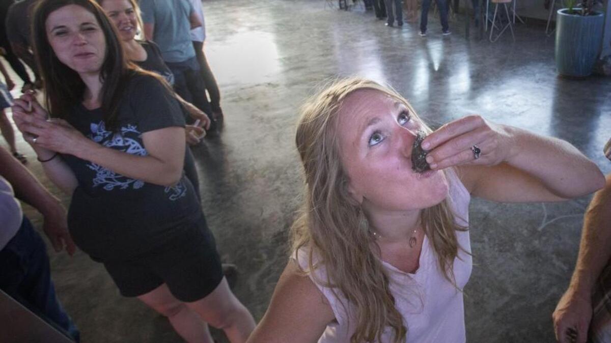 Becca Reikow slurps down a kumamoto oyster at 3uilt as a part of a preview opening of 7 Seas Brewing in Tacoma on Aug. 4.