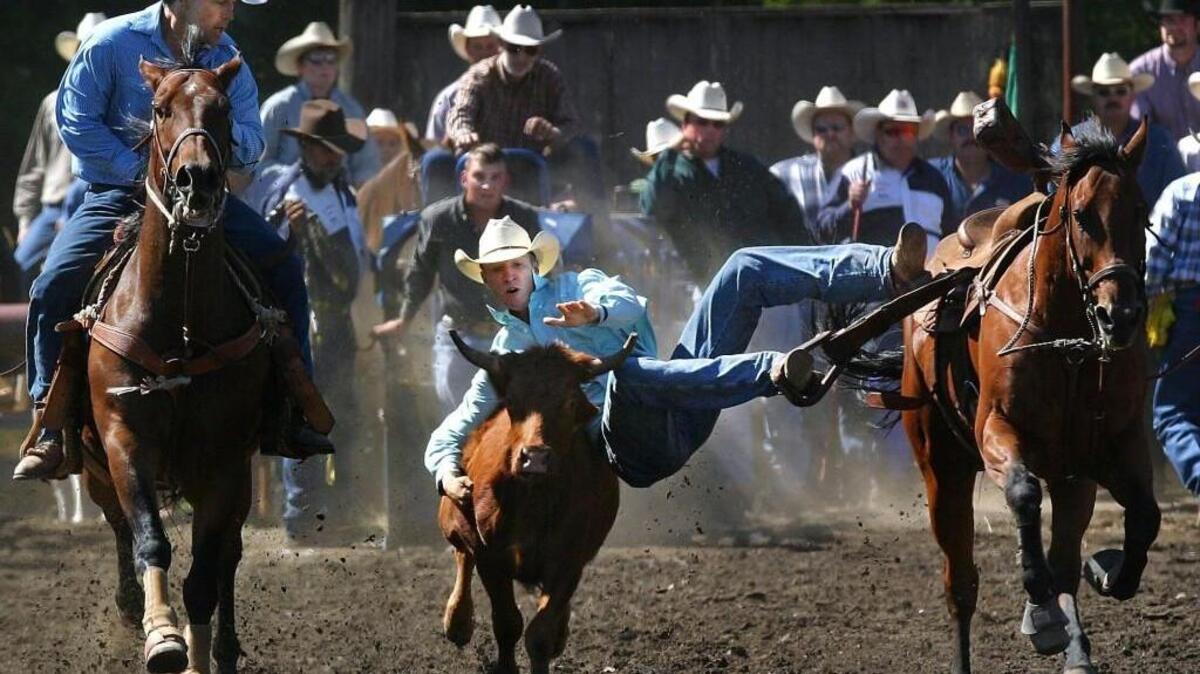 
 The Roy Rodeo brings lots of competition and fun 
