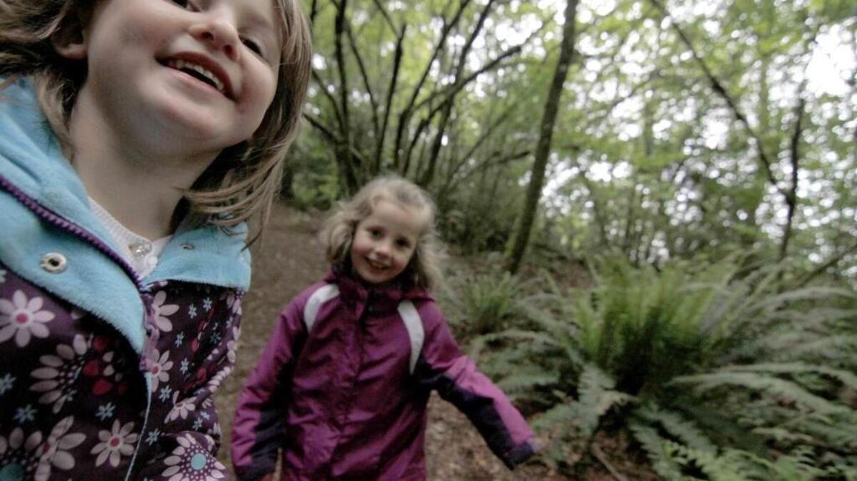 Plan to join in the Family Nature Walk on Saturday