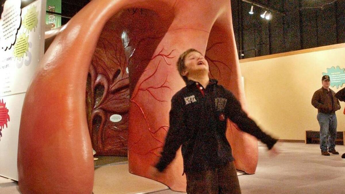 
Let the kids explore the human body at the “Grossology” exhibit at Pacific Science Center in Seattle.

