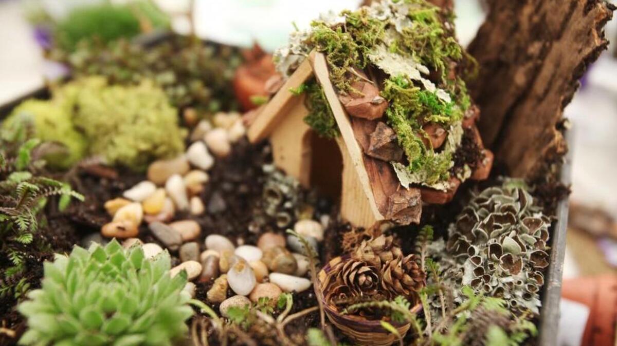 Search for the 60 fairy houses hidden throughout the Lakewold Gardens Friday (May 19) through Sunday.