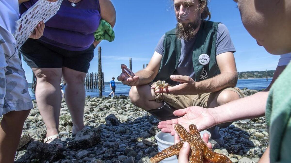 
. Explore local beaches at Guided Beach Walks
