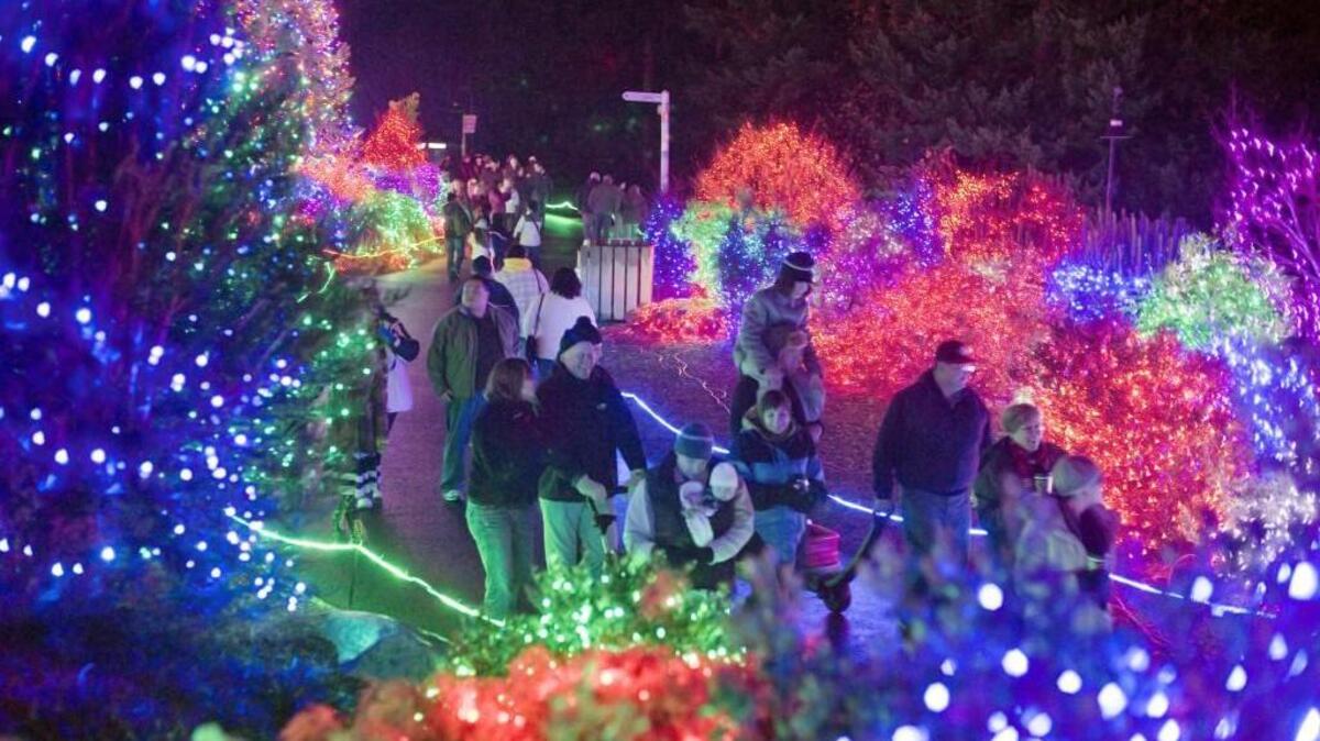 Stroll through the lights and displays at Zoolights