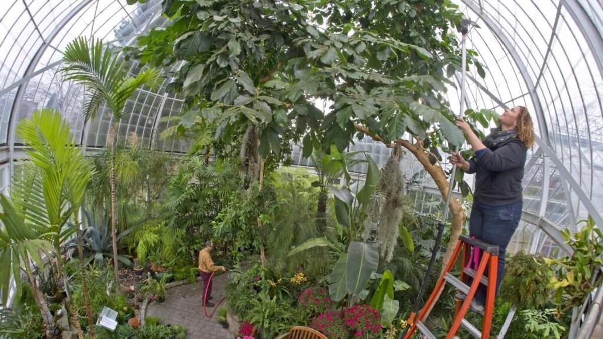 
W.W. Seymour Conservatory is hosting presentations and workshops this week.
