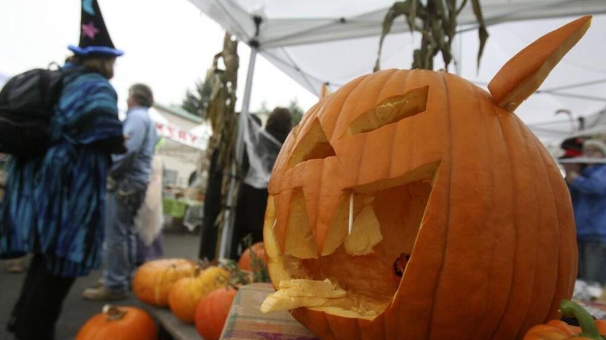 A variety of activities and events for the season this week.