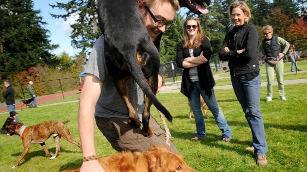 
Take the dogs for a fun day at the park at Dogtoberfest.
