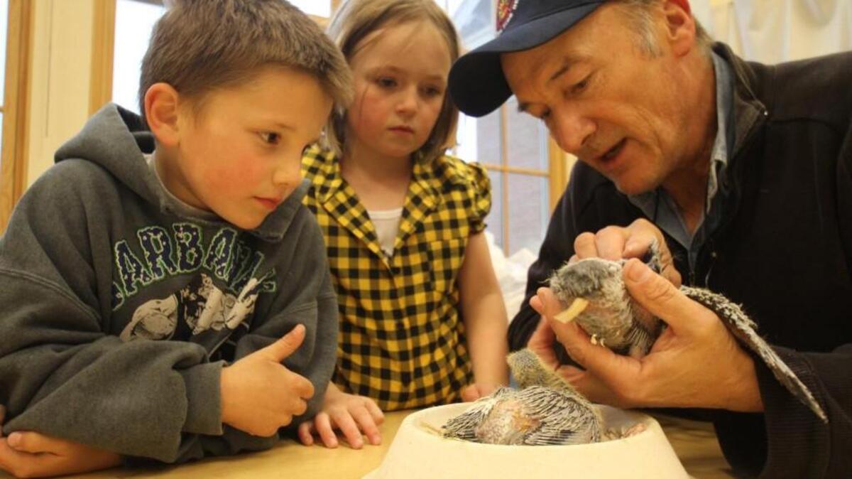 Filmmaker and author Jim Jenner, right, shows two children how to look after a baby pigeon.
