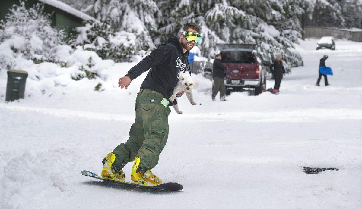John Swetz and his dog, King, take a ride down Bay Street in Tumwater following Friday night’s snowy downpour that knocked out power on Olympia’s west side, took down trees and power lines, and left motorists skidding on roads and freeways on Saturday, Feb. 9, 2019.