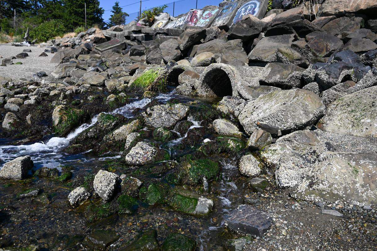 A 68-year-old man died Monday after he was pulled from Puget Sound into a lagoon by tidal water at Tacoma’s Titlow Beach.