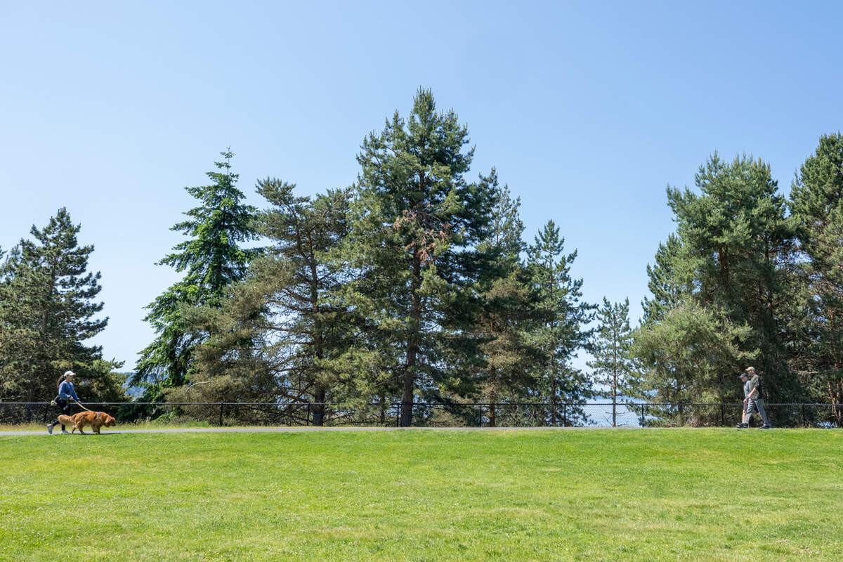 People walk along a trail near the Playground By The Sound at the Chambers Creek Regional Park on Monday, June 2, 2025, where nearly 20 trees will be removed due to an infestation of California fivespined ips, a pine bark beetle, in University Place, Wash.