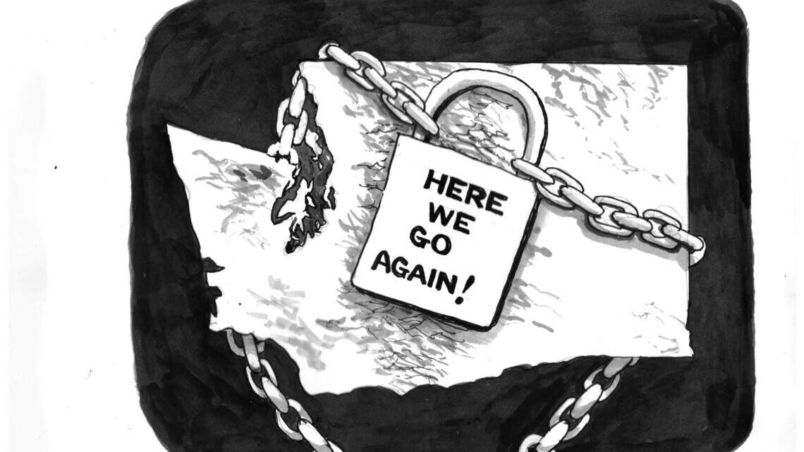 Don Snowden’s cartoon for Nov. 19