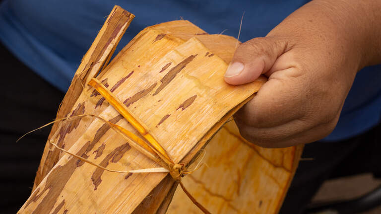 Puyallup tribal members return here to harvest sacred cedar bark