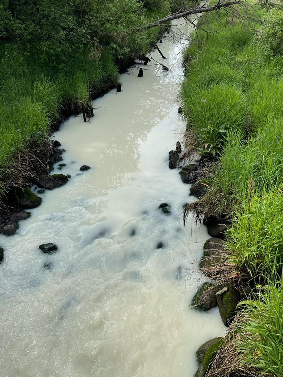 Milk or heavy cream escaped into Hylebos Creek after three tractor-trailers crashed on Interstate-5 on Friday. Crews spent more than seven hours cleaning up the highway, causing major delays to northbound traffic.