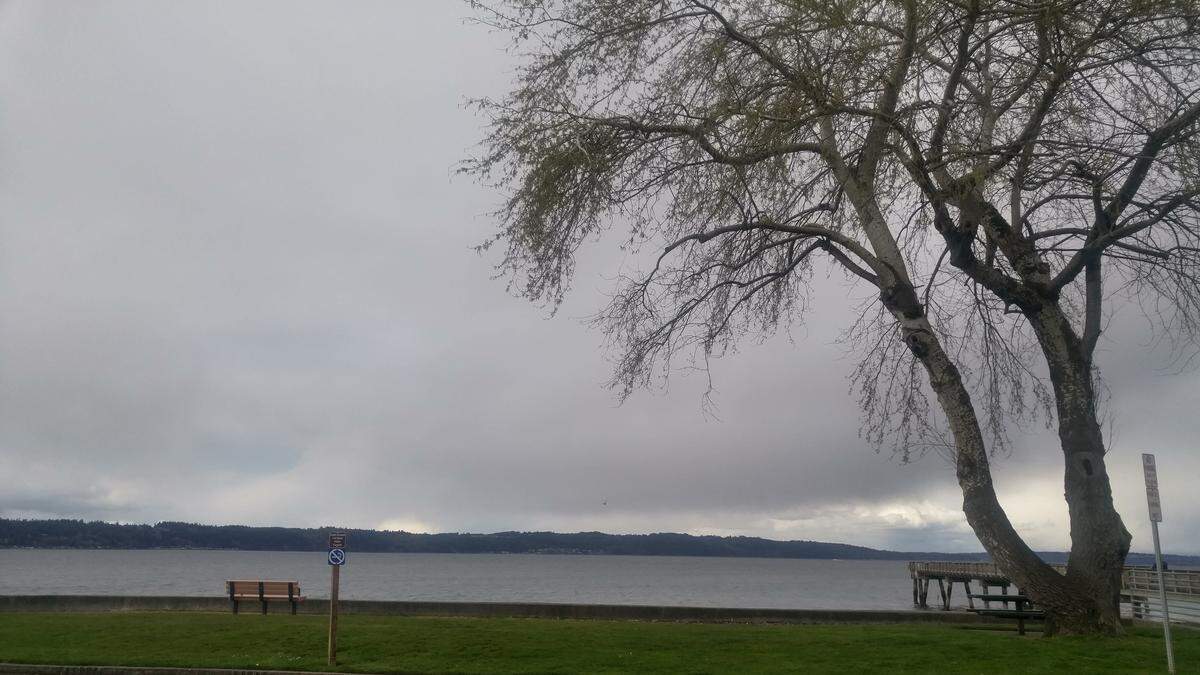 File photo of the waterfront at Dash Point.