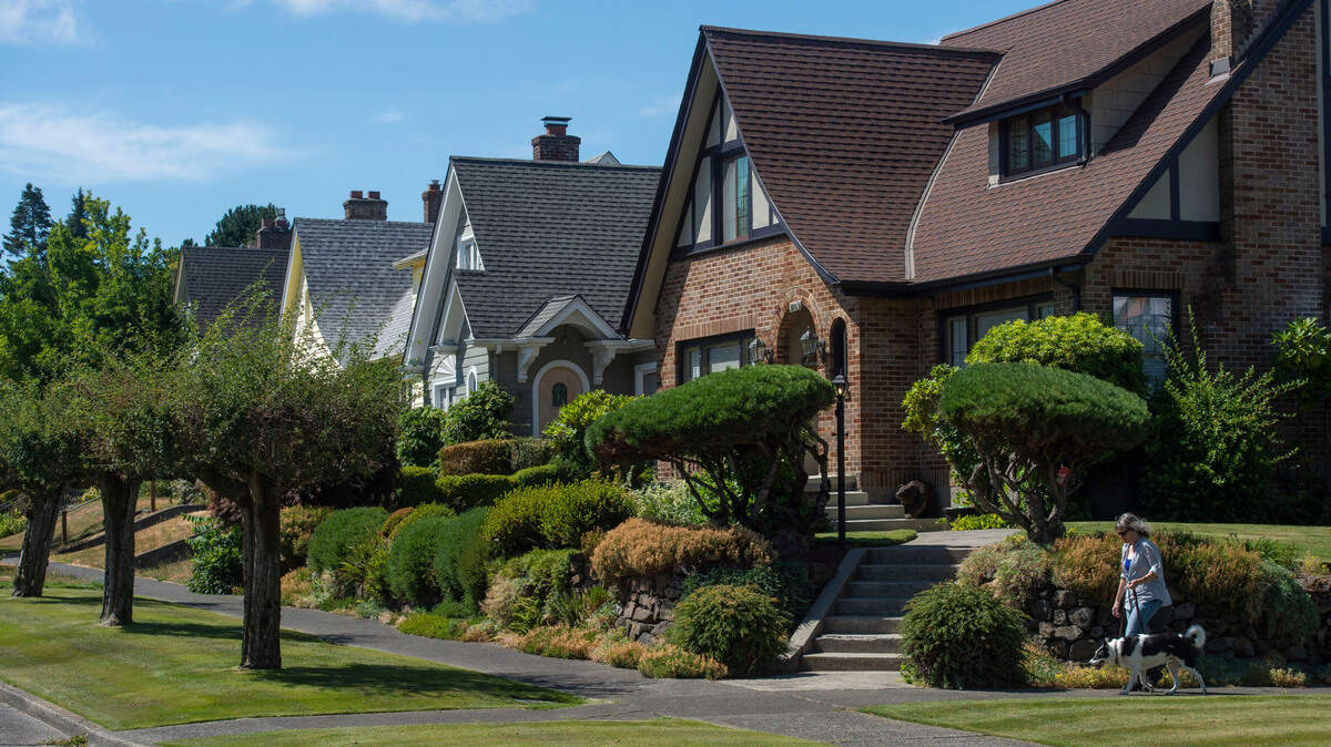 A pedestrian walks a dog near the intersection of North Cedar and 13th Streets in the College Park District of Tacoma on Friday, August 6, 2021. The neighborhood of roughly 600 homes – between North 7th and North 21th, wrapping around the east side of the UPS campus — was officially recognized by the National Register of Historic places in 2017.