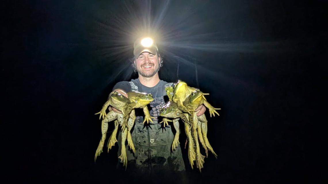 ‘They bring a lot of harm.’ Nisqually refuge hires pro to take out bullfrogs