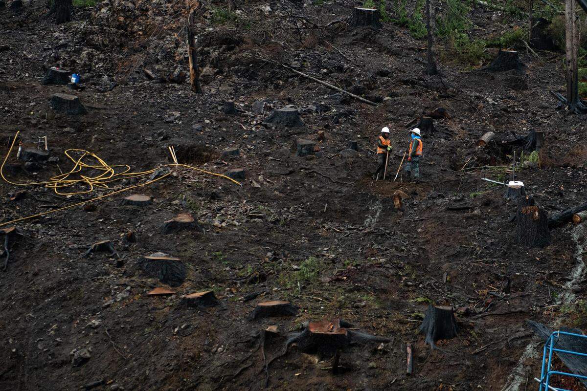 Crews stand among cut down, burned trees along state Route 410 near Greenwater on Friday, Oct. 23, 2020.