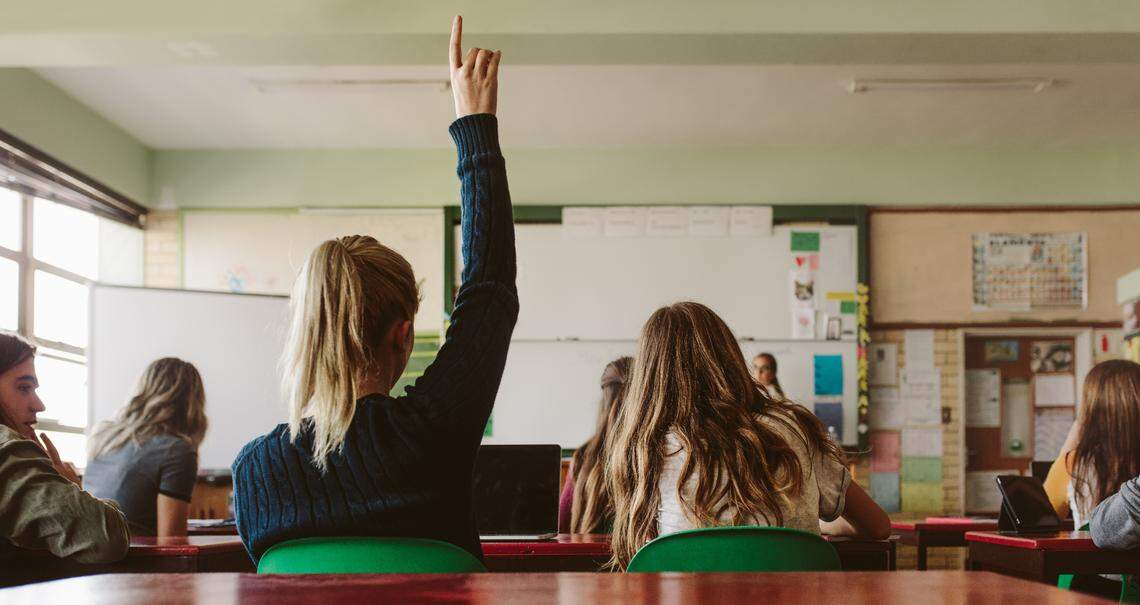 Students seen from behind are raising their hands in a classroom