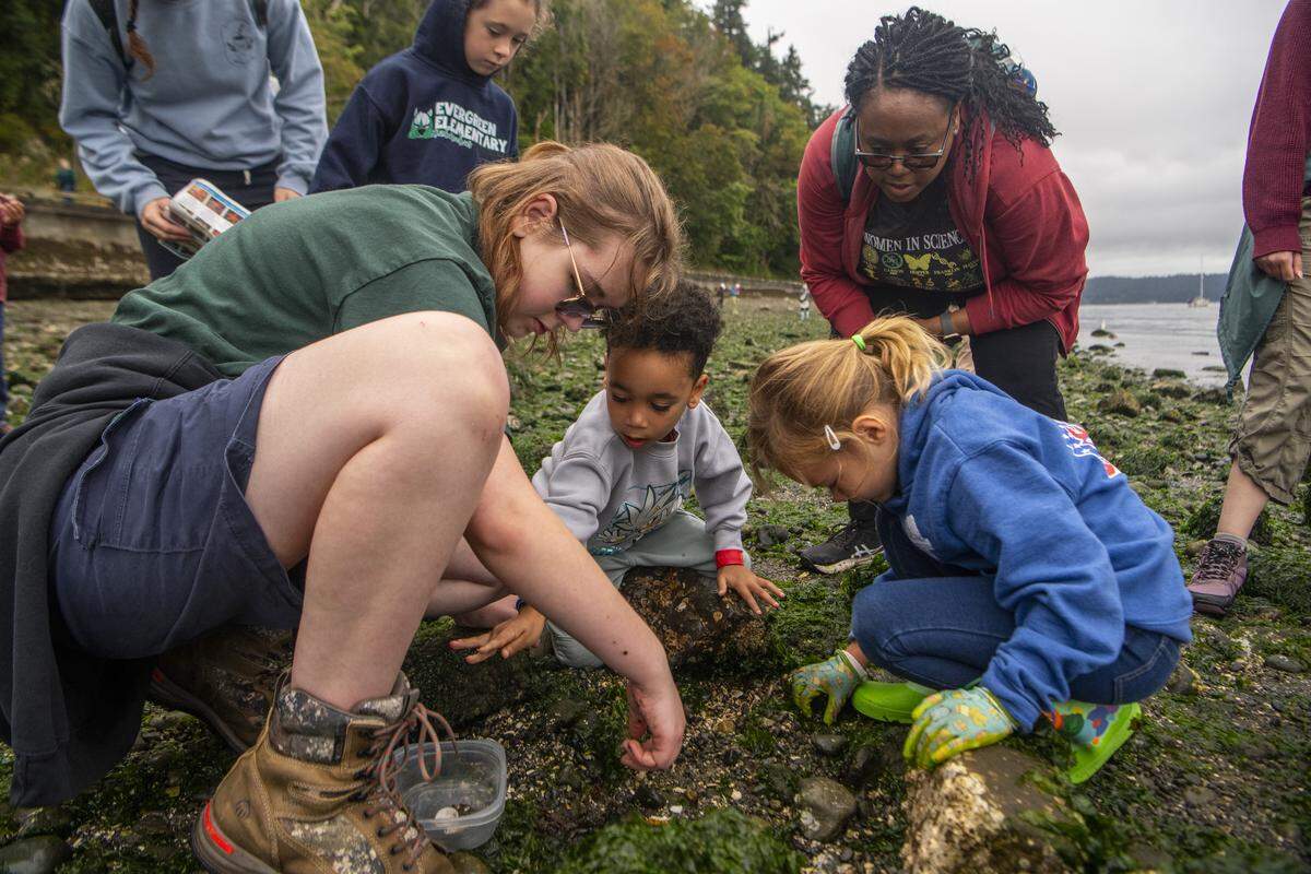 Explore the Shore discovery in 2025. 
