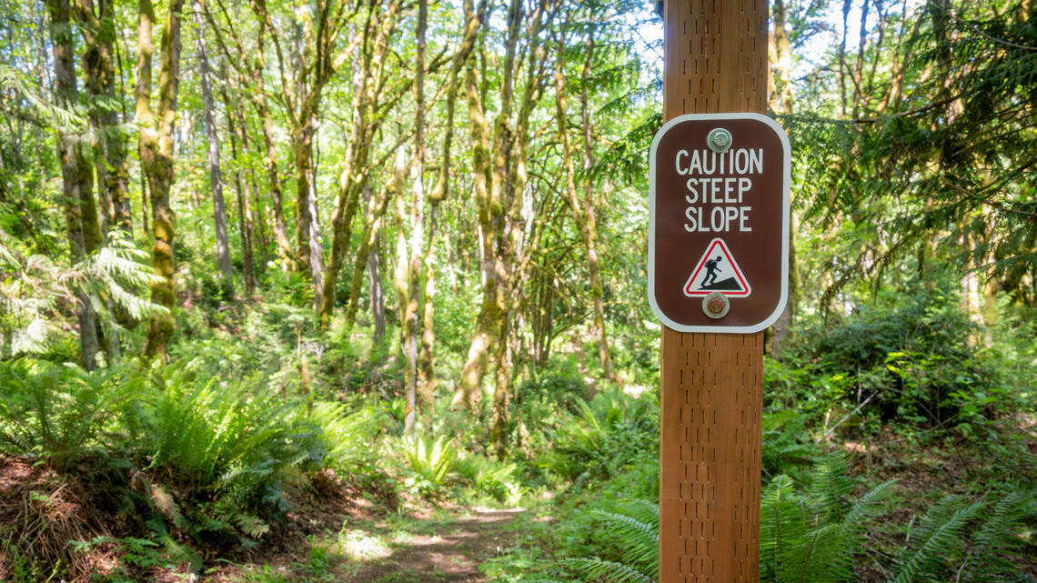 New loop trail gives Pierce County hikers first access to 50 acres of forest